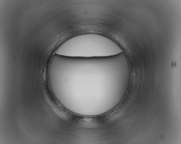 X0000090900406200707301015