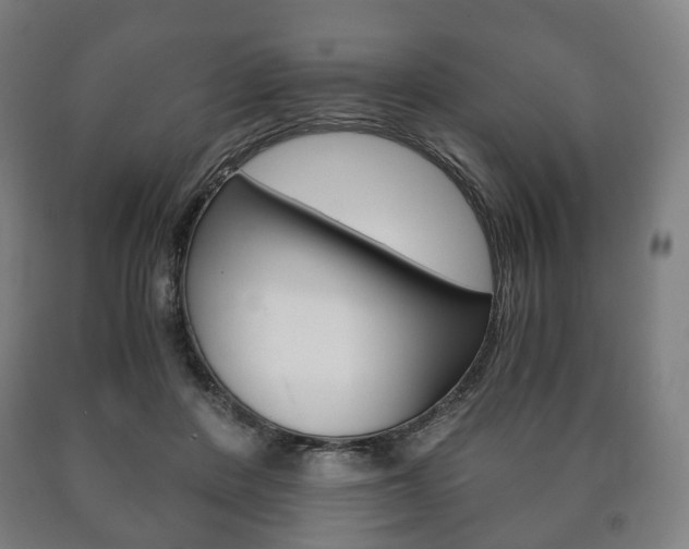 X0000090900408200707301015