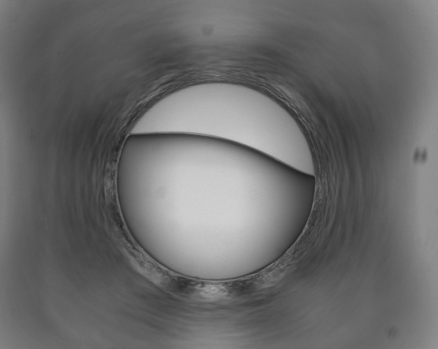 X0000090900409200707301015