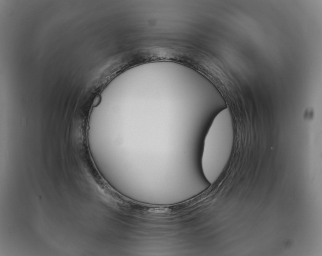X0000090900410200707301015