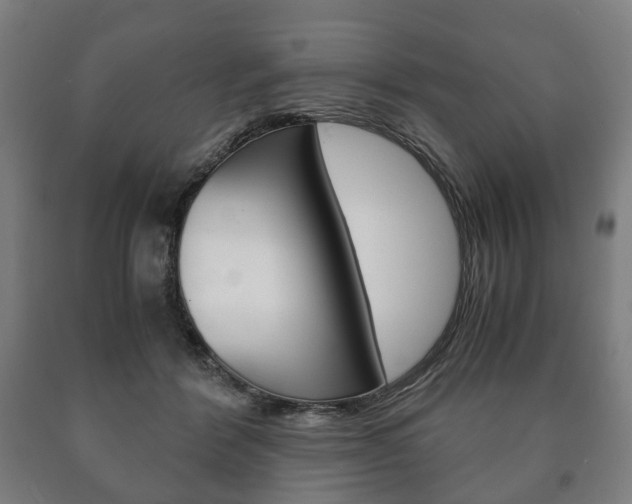 X0000090900412200707301015