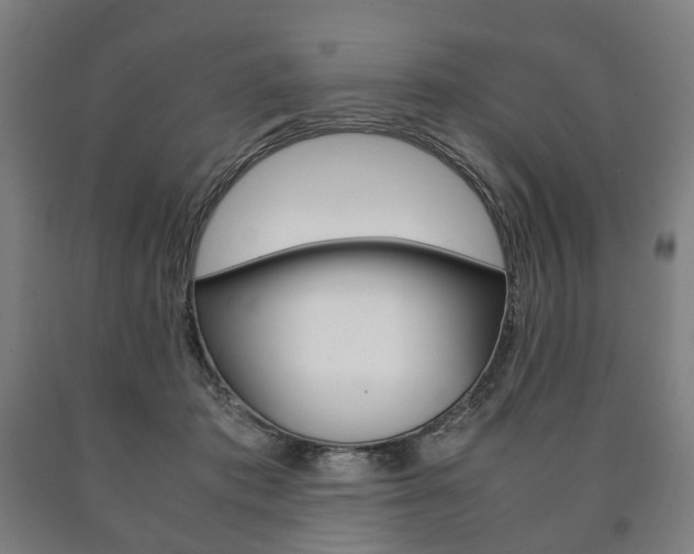 X0000090900413200707301015