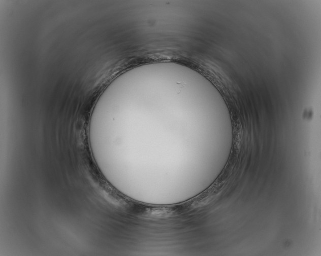 X0000090900414200707301015