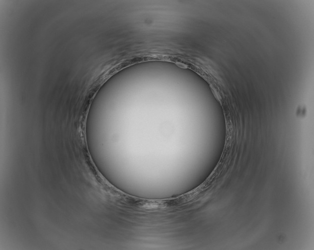 X0000090900415200707301015