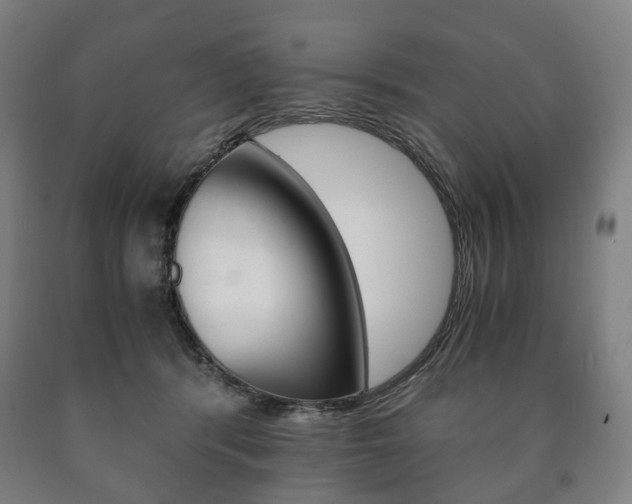 X0000090900416200707301015