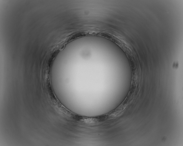 X0000090900417200707301015
