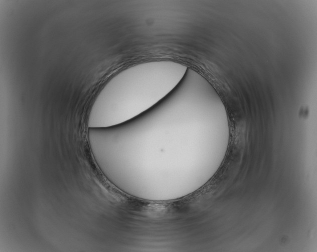 X0000090900418200707301015