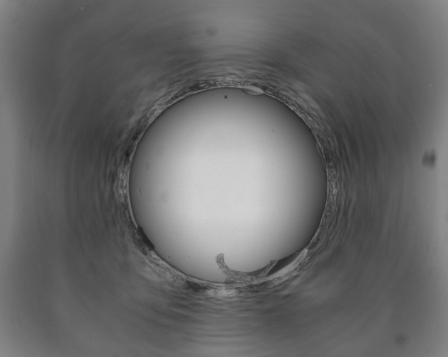 X0000090900419200707301015