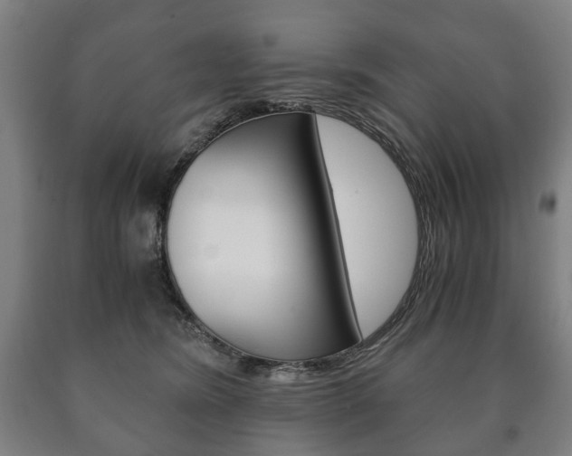 X0000090900420200707301015