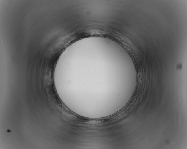 X0000090900422200707301015