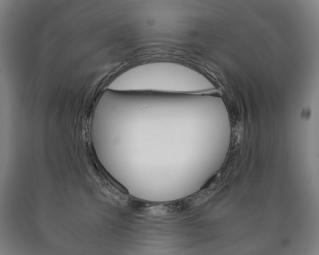 X0000090900423200707301015