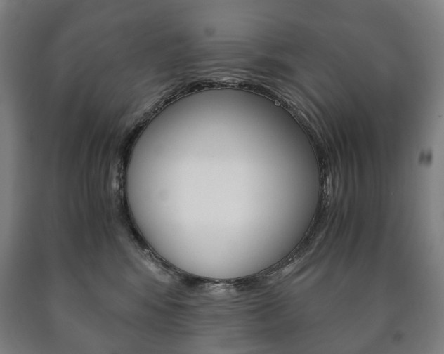 X0000090900424200707301015