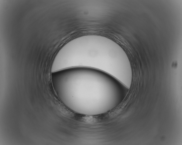 X0000090900425200707301015