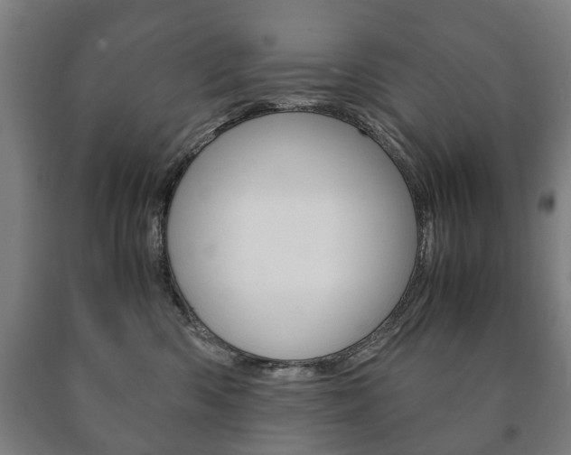 X0000090900426200707301015