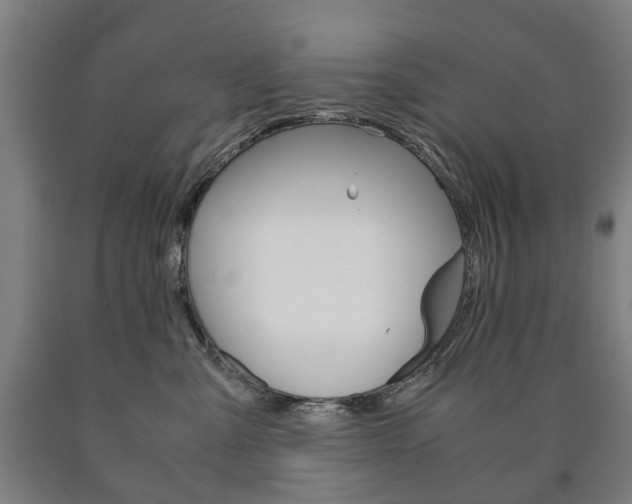 X0000090900427200707301015