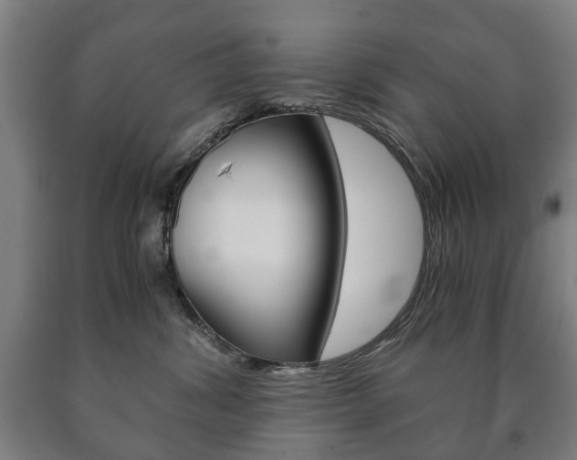 X0000090900428200707301015