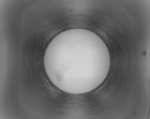 X0000090900429200707301015