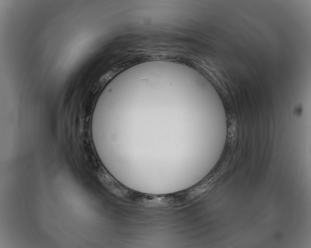 X0000090900430200707301015