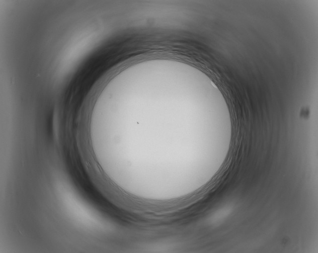 X0000090900431200707301015