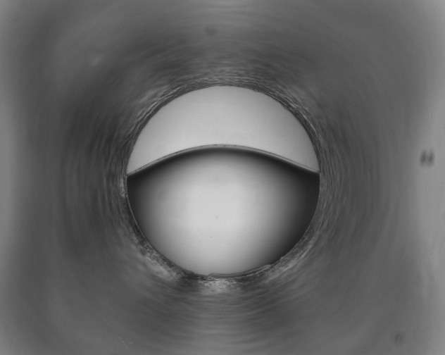 X0000090900432200707301015