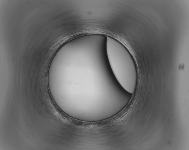 X0000090900433200707301014