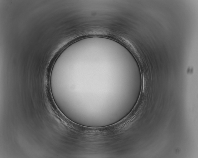 X0000090900435200707301014