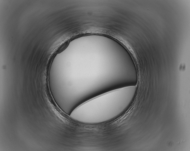 X0000090900437200707301014