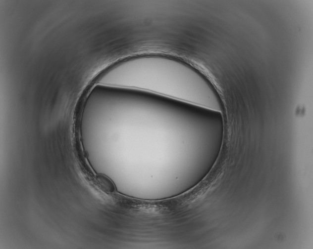 X0000090900439200707301014