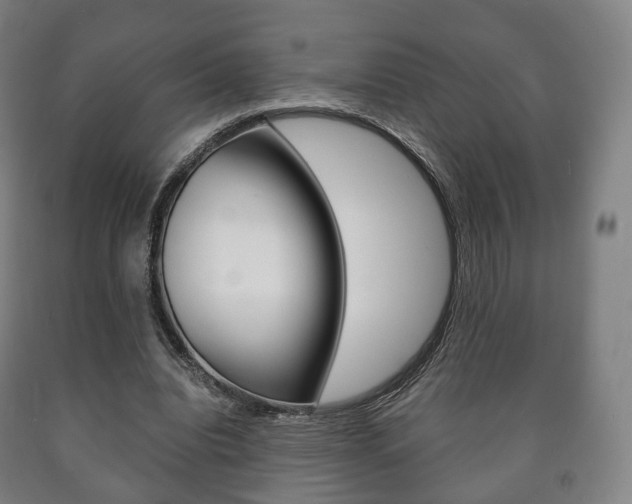 X0000090900440200707301014