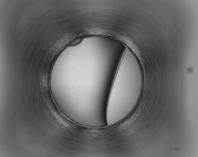 X0000090900441200707301014