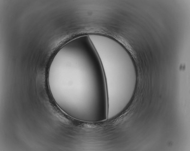 X0000090900442200707301015