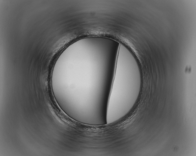 X0000090900443200707301015