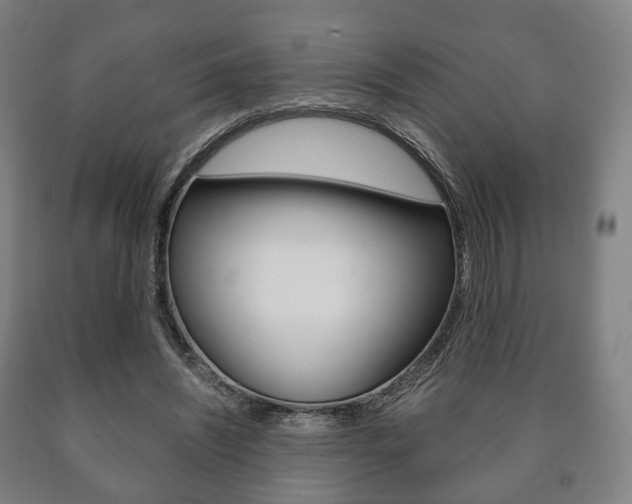 X0000090900444200707301015