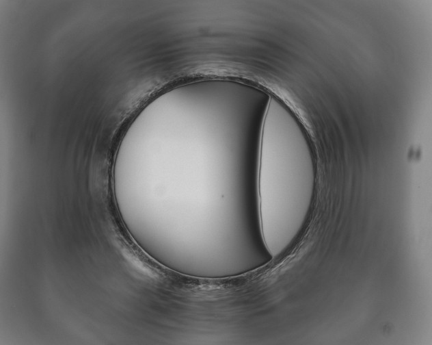 X0000090900445200707301015