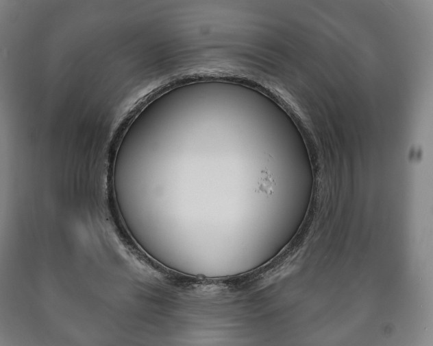 X0000090900446200707301015