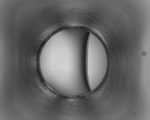 X0000090900447200707301015