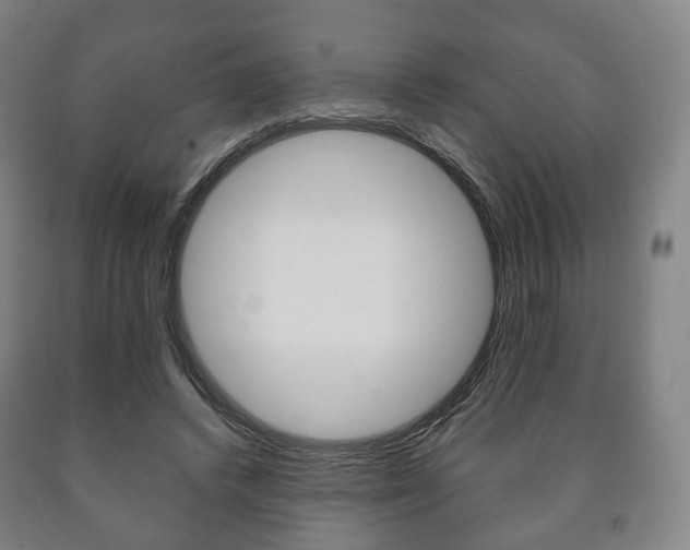 X0000090900448200707301015