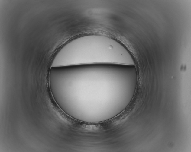 X0000090900449200707301015