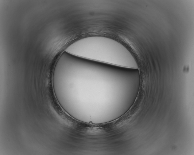 X0000090900451200707301015