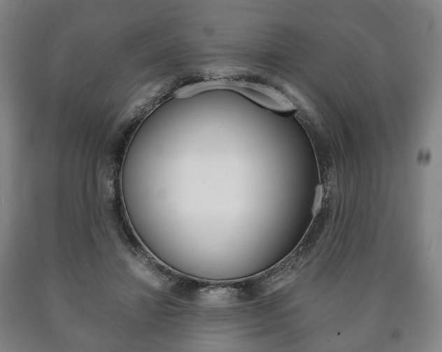 X0000090900452200707301015