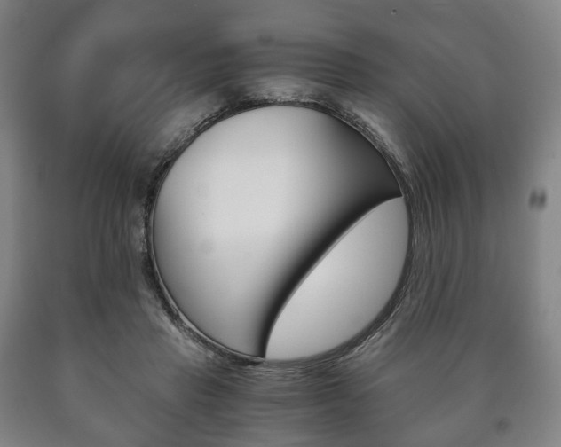 X0000090900453200707301015