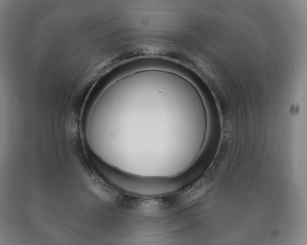 X0000090900456200707301015