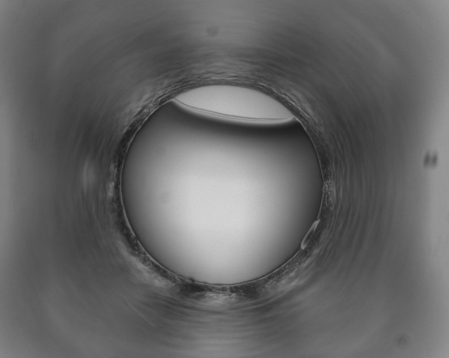 X0000090900458200707301015