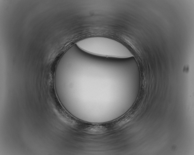 X0000090900459200707301015