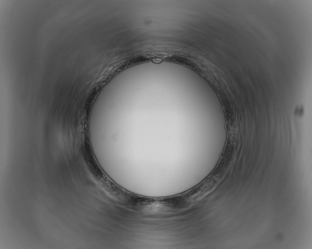 X0000090900460200707301015