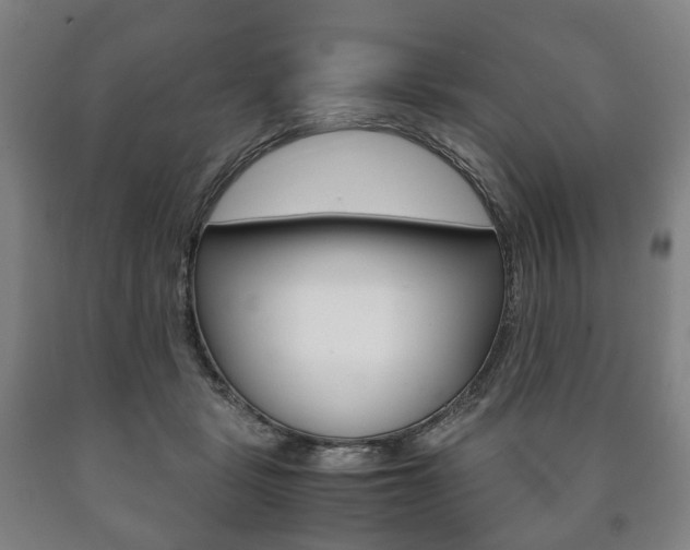 X0000090900461200707301015