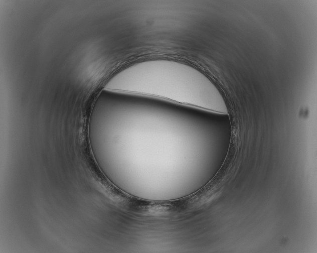 X0000090900462200707301015