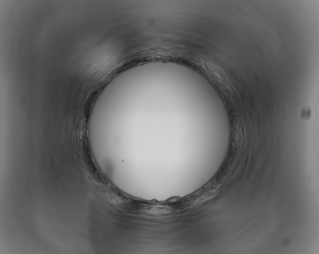 X0000090900463200707301015