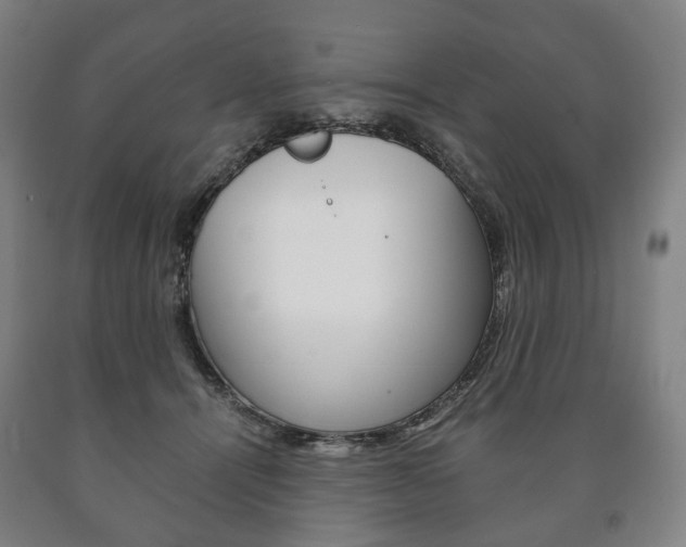 X0000090900464200707301015
