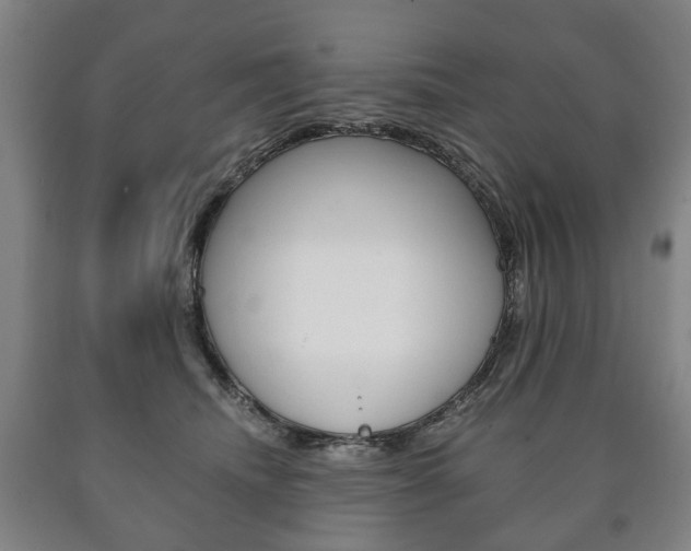 X0000090900468200707301015